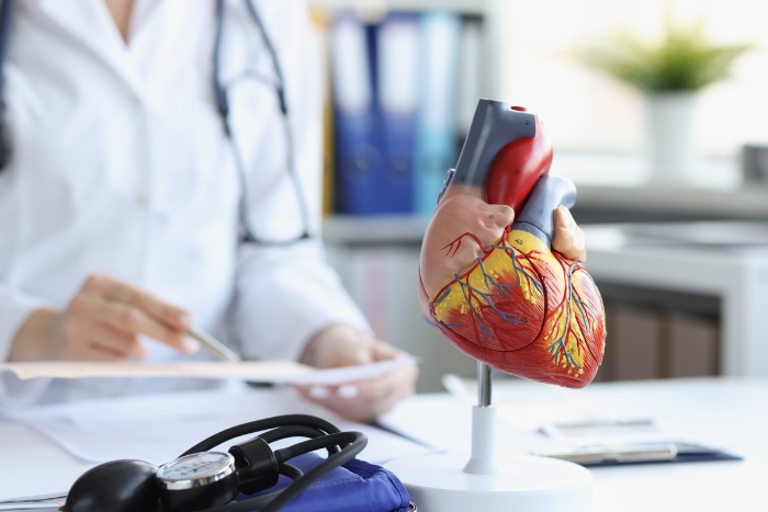 Cardiac & Vascular Procedures: Saving Hearts, Saving Lives
