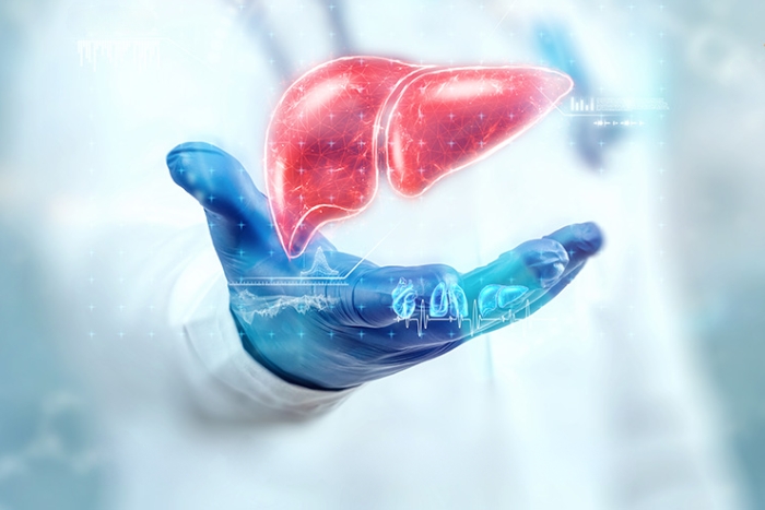 Liver Transplant: Restoring Life and Health