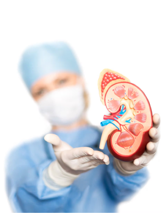 Kidney Transplant